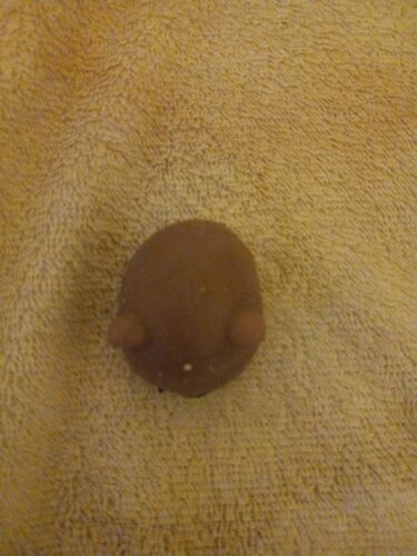 Mochi - Fresh Stock Dated February 2026