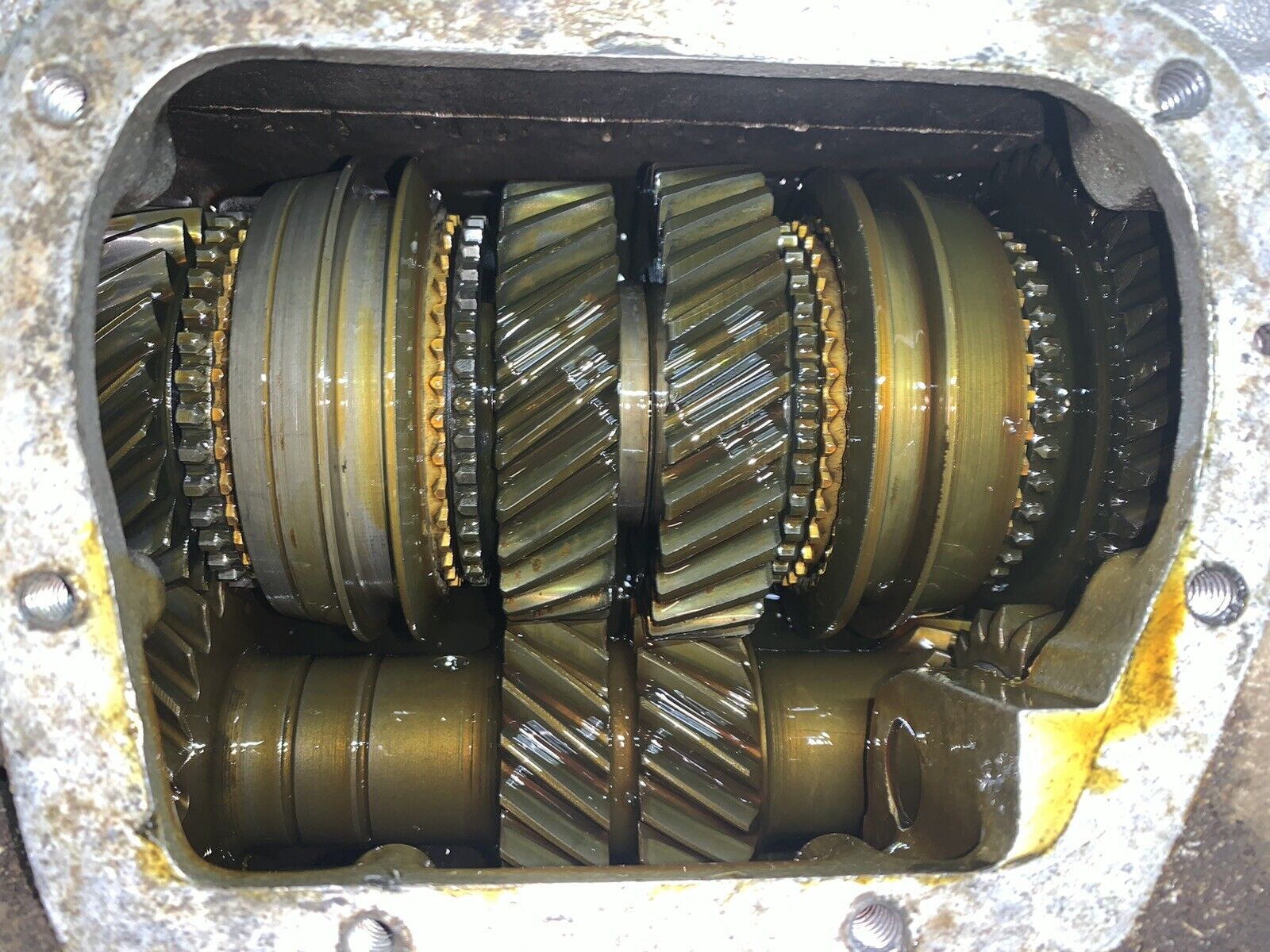 Muncie 4 Speed Transmission 3885010 M20 No Vin Corvette Camaro Chevelle GTO Nova - Fresh Stock Dated February 2026