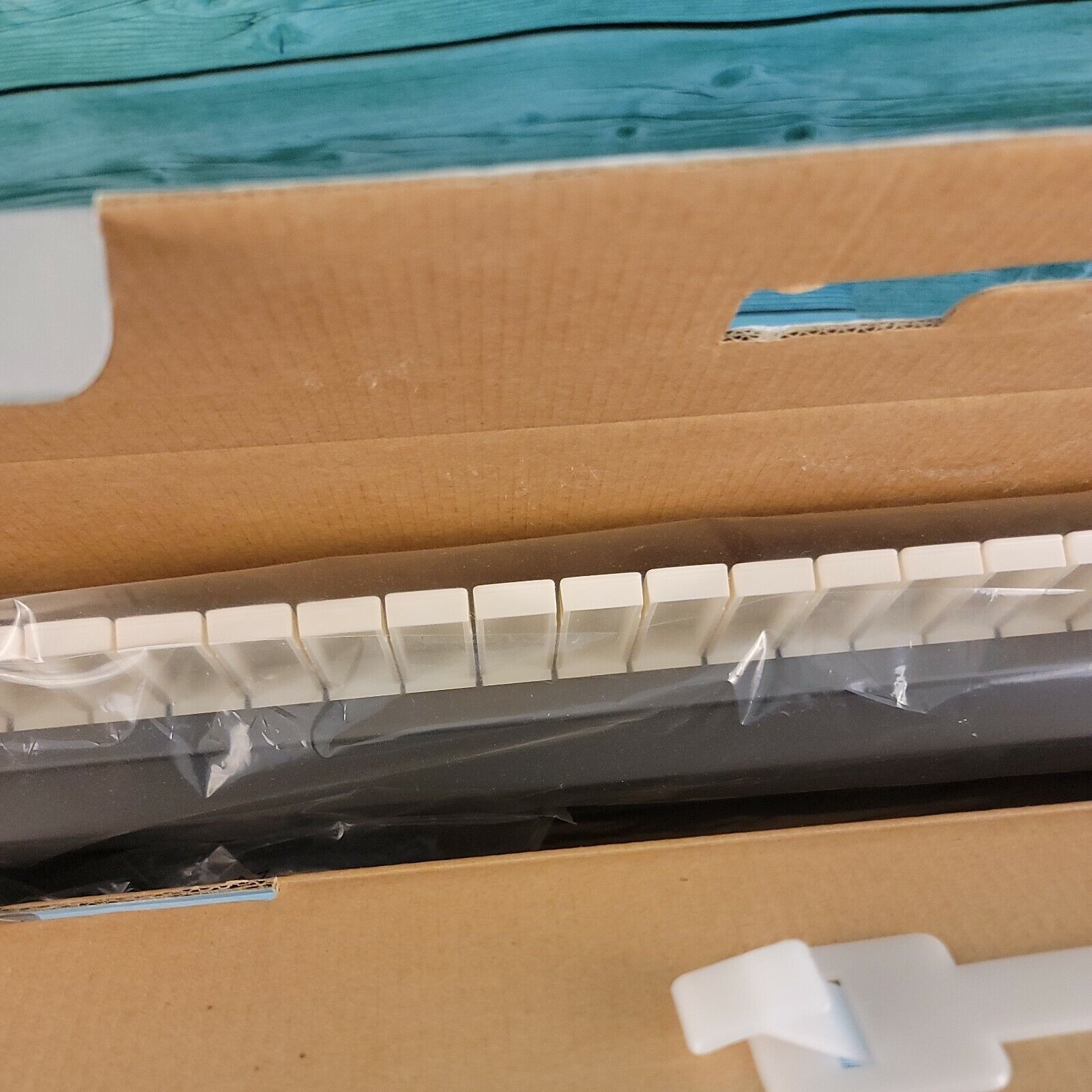 🔥NEW M-Audio KeyStudio Midi Keyboard Controller- 49-key W/ USB Computer Cable - Fresh Stock Dated February 2026