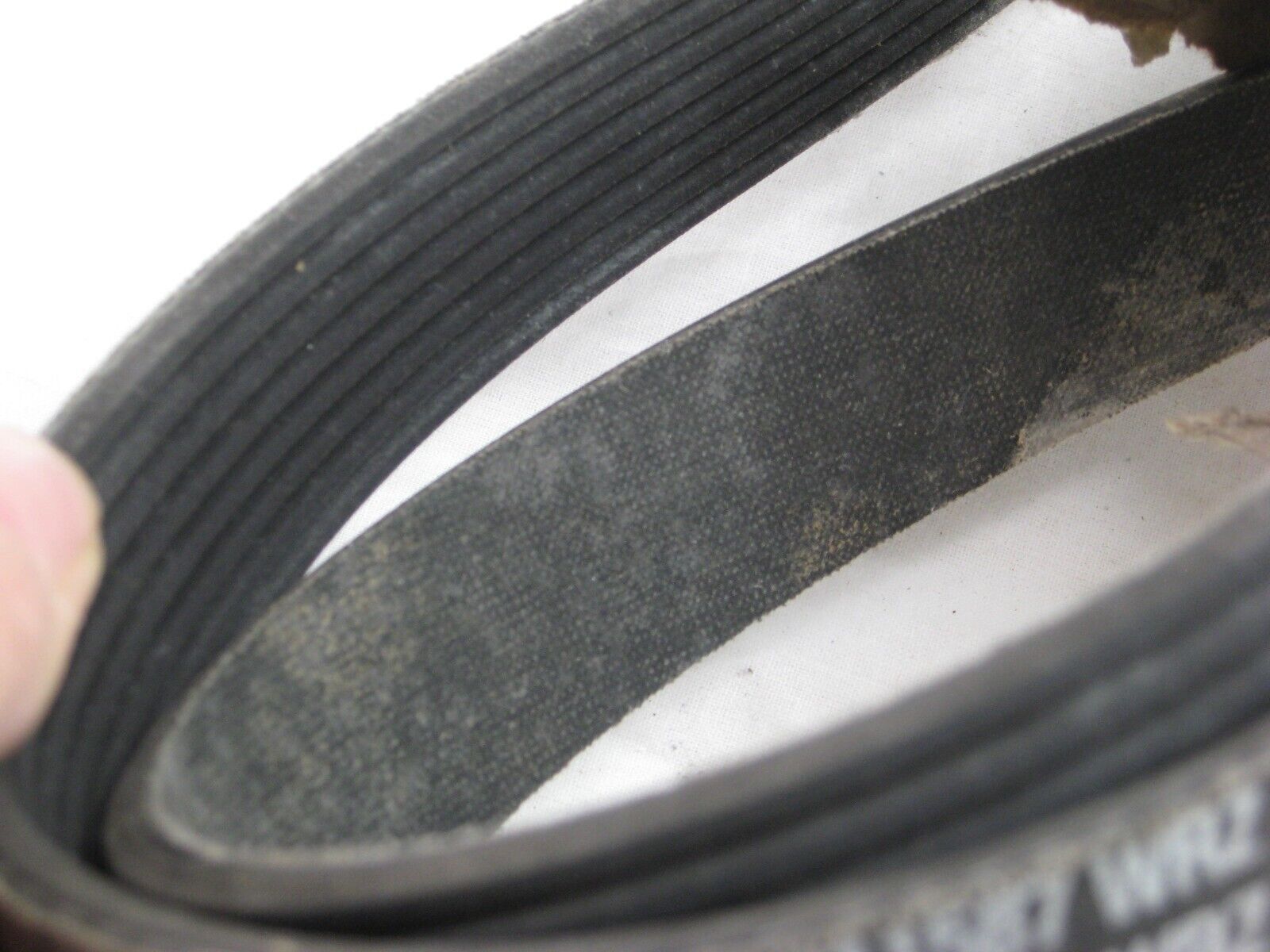 GENUINE Cummins Ribbed V-Belt 3311587 Application For Cummins 4BT 3.9 6BT 5.9 QS - Fresh Stock Dated February 2026