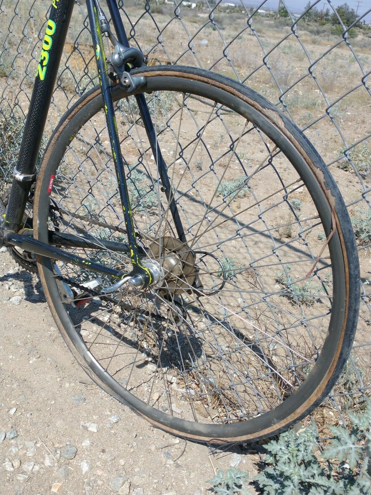 Trek Pro 2300 Bike Composite - Fresh Stock Dated February 2026