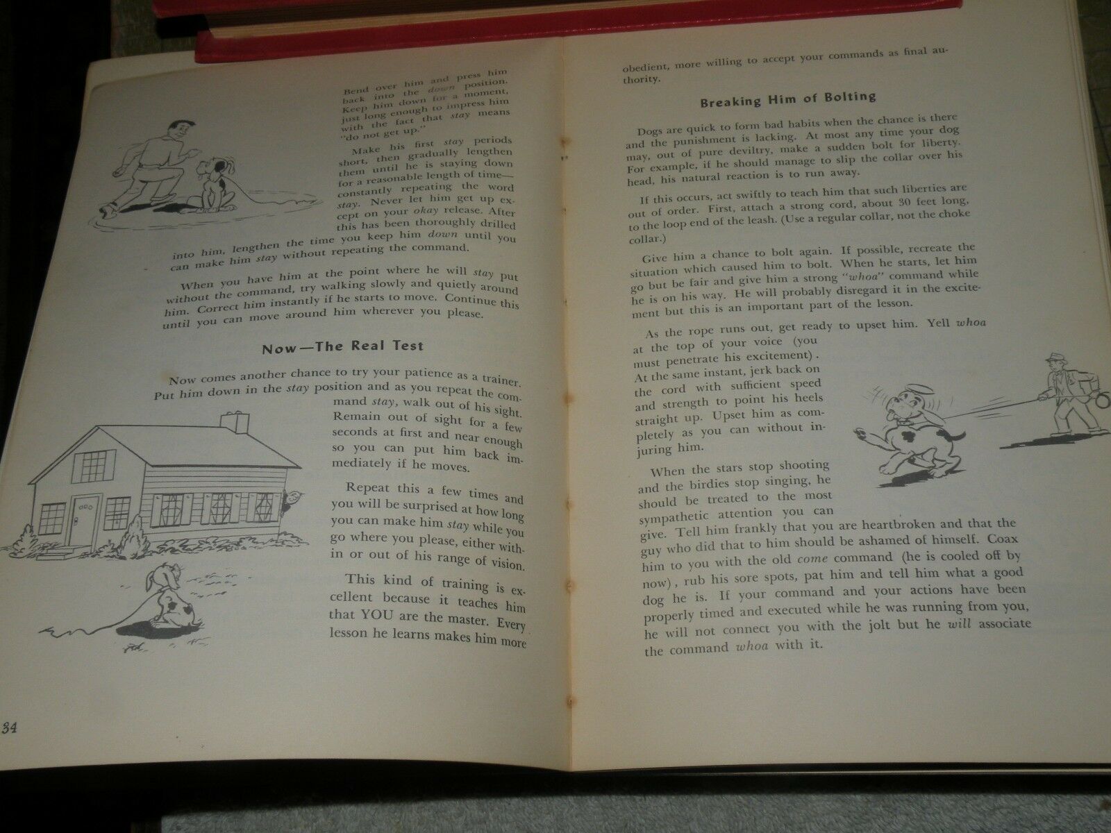 Dog Owners Guide by Kasco Mills 1950 - Fresh Stock Dated December 2025