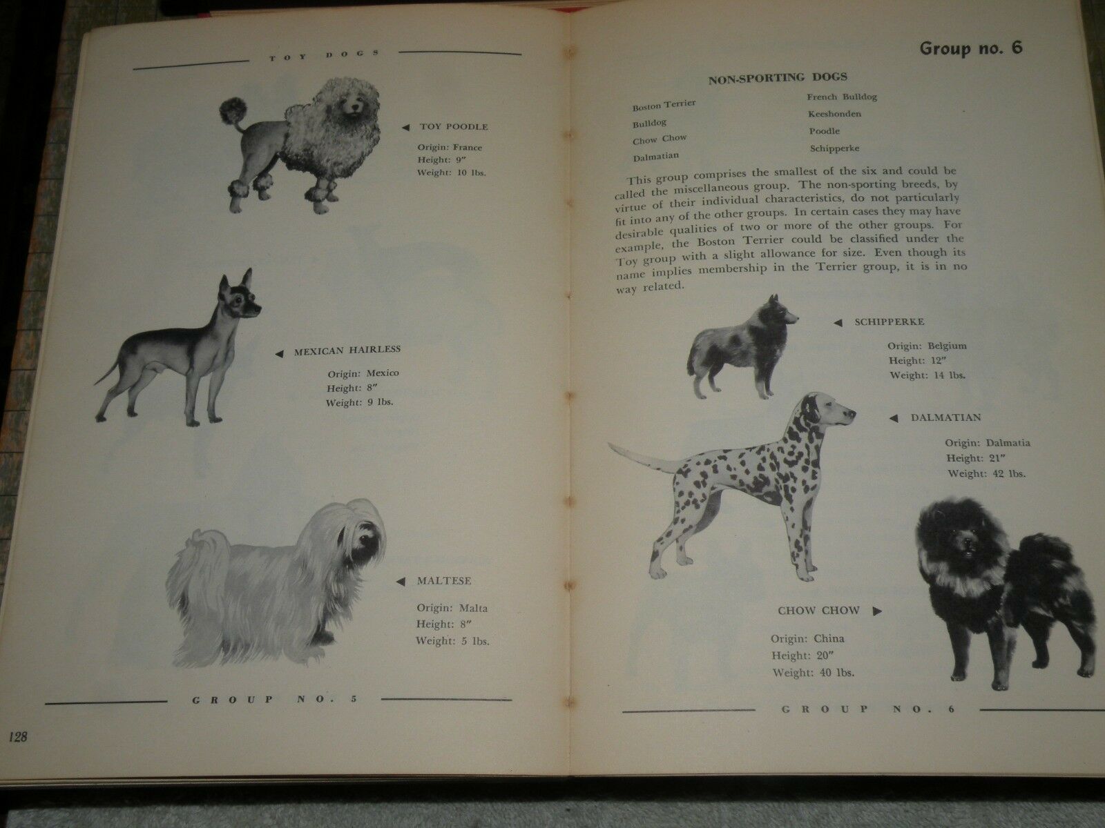 Dog Owners Guide by Kasco Mills 1950 - Fresh Stock Dated December 2025