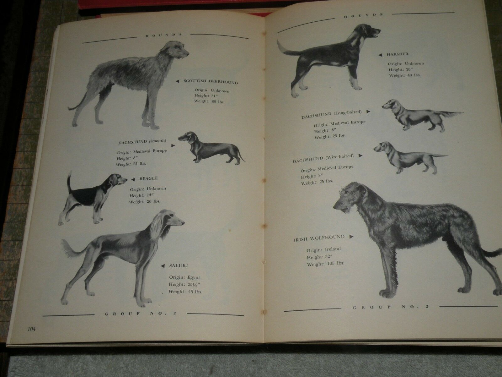 Dog Owners Guide by Kasco Mills 1950 - Fresh Stock Dated December 2025