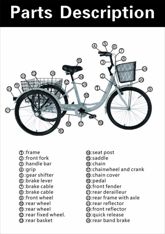 24'' 3 Wheel Adult Tricycle Basket Trike Cruise 300LBS Shimano 7 speed Ridgeyard - Fresh Stock Dated February 2026