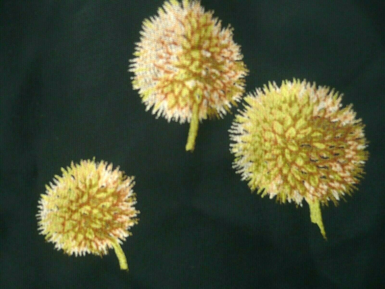 VTG 90S M CASUAL CORNER FLORAL DANDELION SILKY BUTTON UP WILD FLOWER SKIRT WOMEN - Fresh Stock Dated February 2026