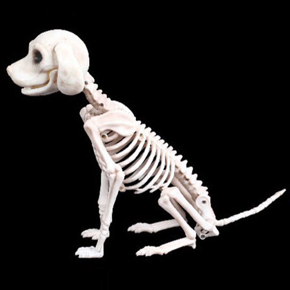 Halloween Skeleton  Dog Prop Animal Bones Party Shop Decoration Horror - Fresh Stock Dated February 2026
