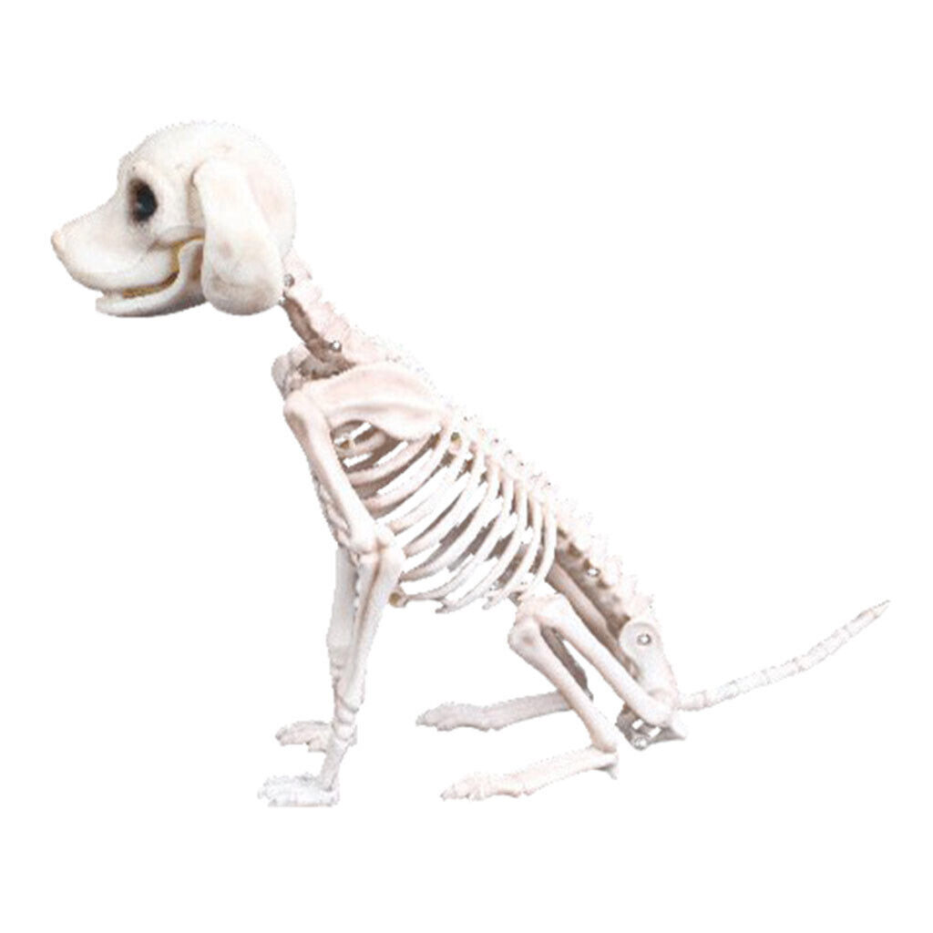 Halloween Skeleton  Dog Prop Animal Bones Party Shop Decoration Horror - Fresh Stock Dated February 2026