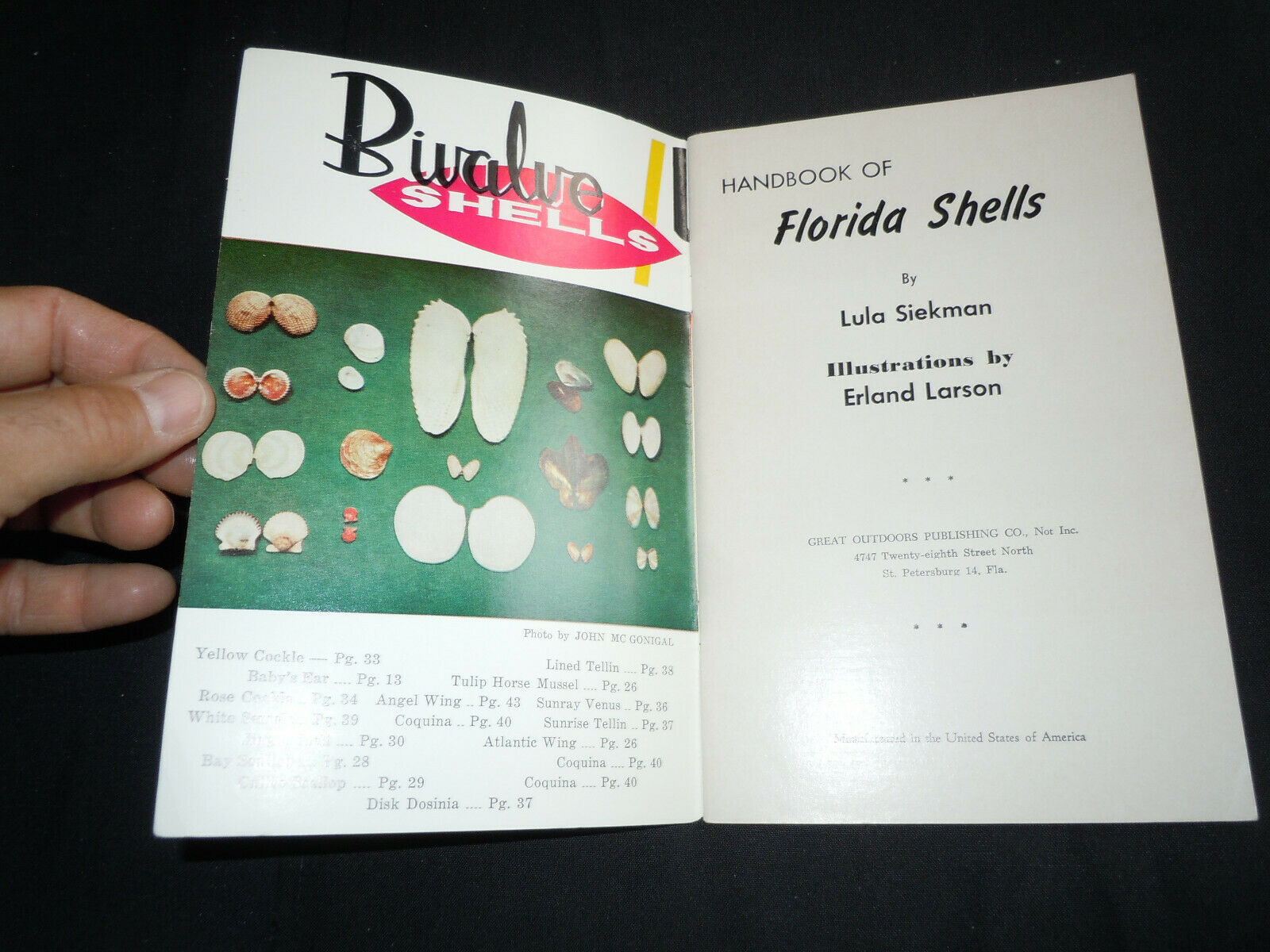 Handbook of Florida Shells from Great Outdoors Association. 1957  48 pg booklet - Fresh Stock Dated December 2025