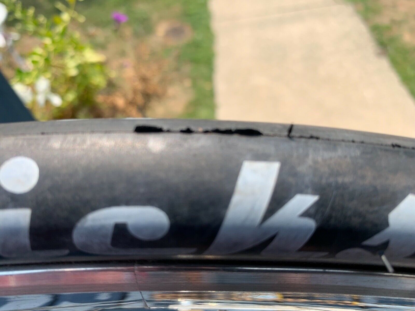 SE LAGER USA BIKE STAINLESS STEEL FRAME SIZE 52 - Fresh Stock Dated February 2026