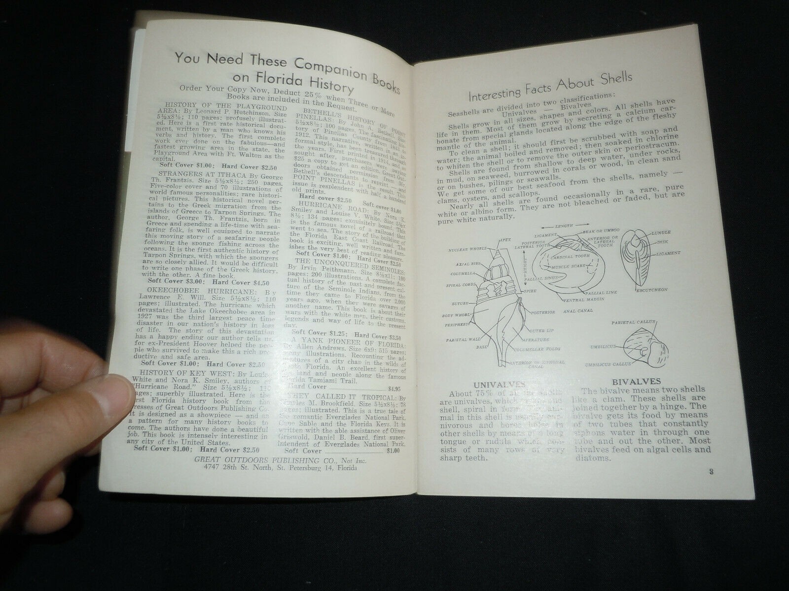 Handbook of Florida Shells from Great Outdoors Association. 1957  48 pg booklet - Fresh Stock Dated December 2025