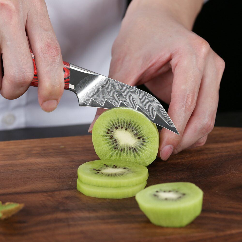 TURWHO 3.5in Paring Knife Japan VG10 Damascus Steel Parer Peeling Turning Knives - Fresh Stock Dated February 2026