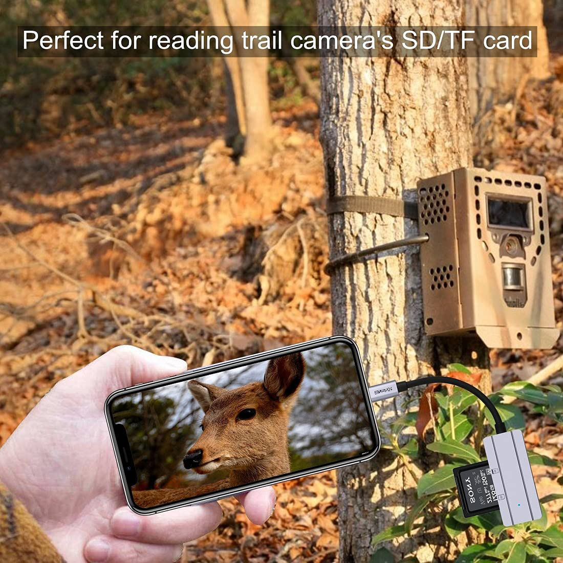 Compatibility For iPad Iphone Tail Adapter Upgraded USB 2.0 SD Card Camera Reade - Fresh Stock Dated February 2026