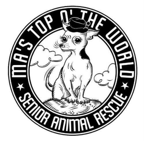 GJS - Gen 2  - chrome decal set - Fresh Stock Dated February 2026