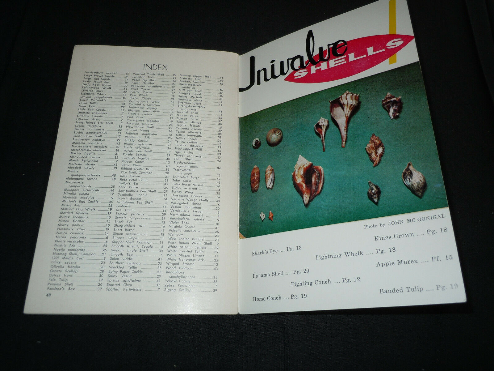 Handbook of Florida Shells from Great Outdoors Association. 1957  48 pg booklet - Fresh Stock Dated December 2025