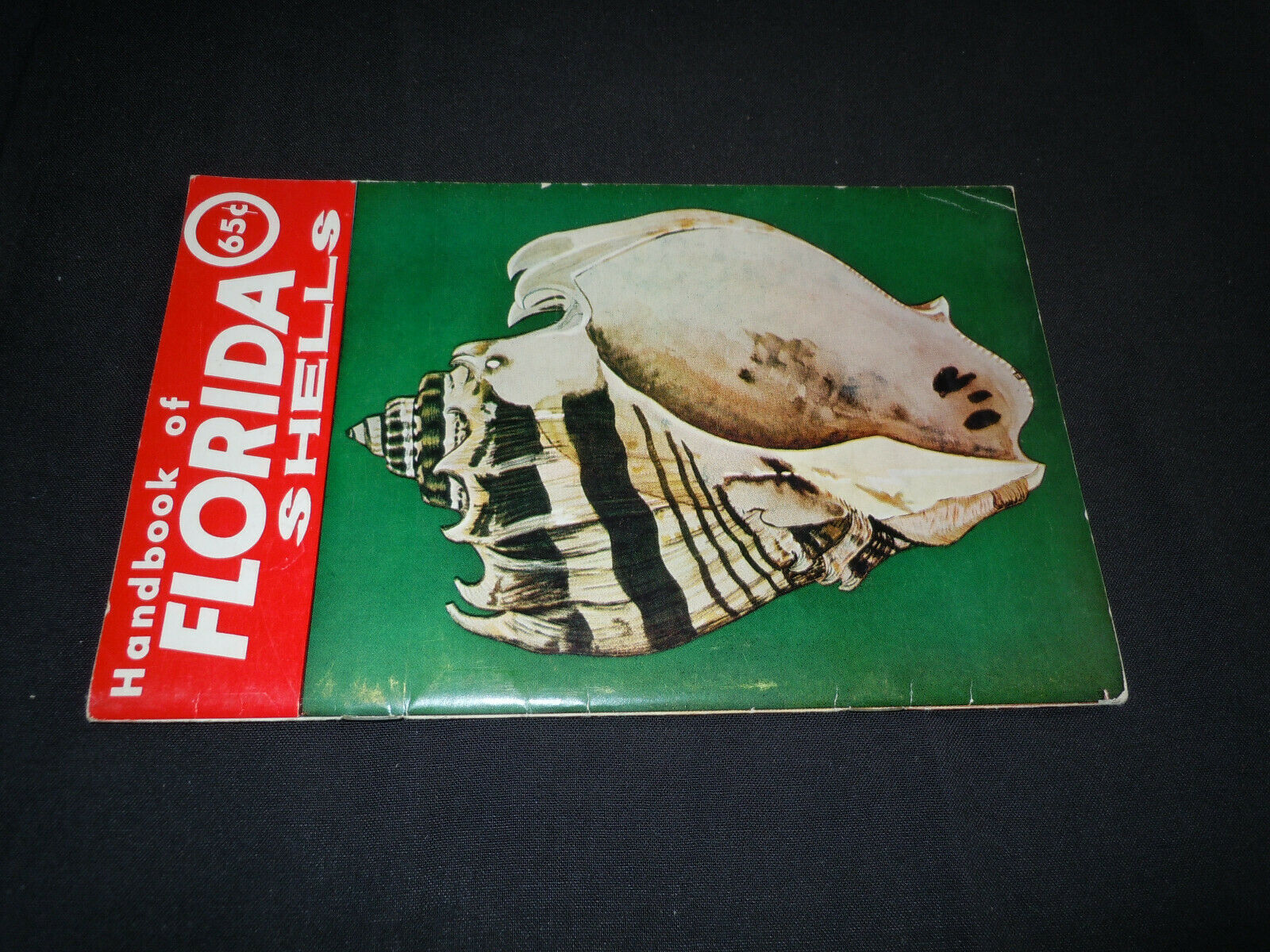 Handbook of Florida Shells from Great Outdoors Association. 1957  48 pg booklet - Fresh Stock Dated December 2025