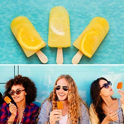 IMISUTD Cakesicle Mold Silicone Popsicle Molds Large 2 Pack Homemade Cake Pop... - Fresh Stock Dated December 2025