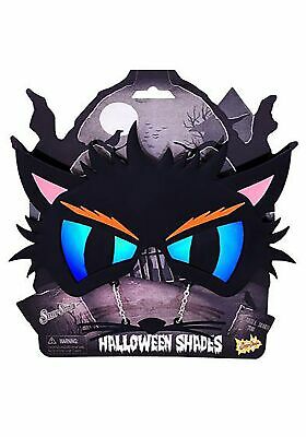 Black Cat Sunglasses - Fresh Stock Dated February 2026