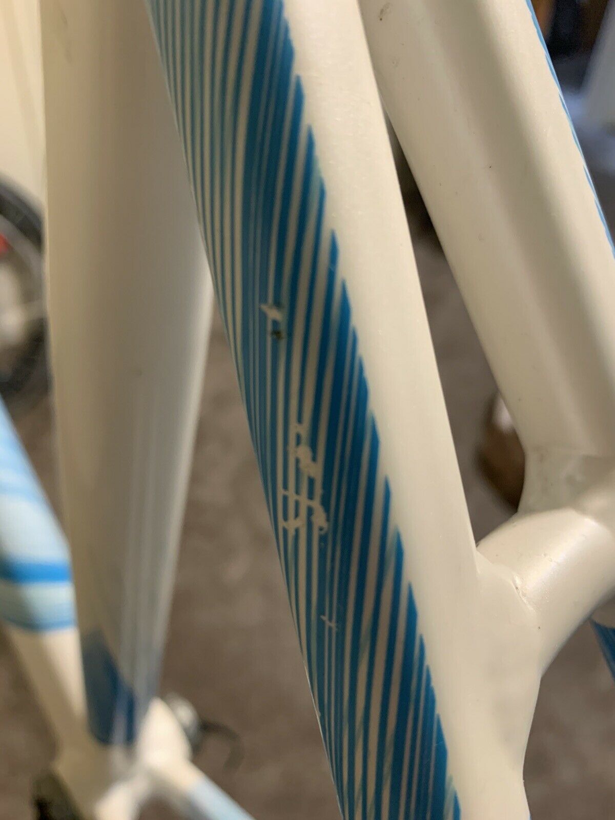 Cinelli Mash Parallax 52cm Track Bike Frame Fixie Fixed - Fresh Stock Dated February 2026