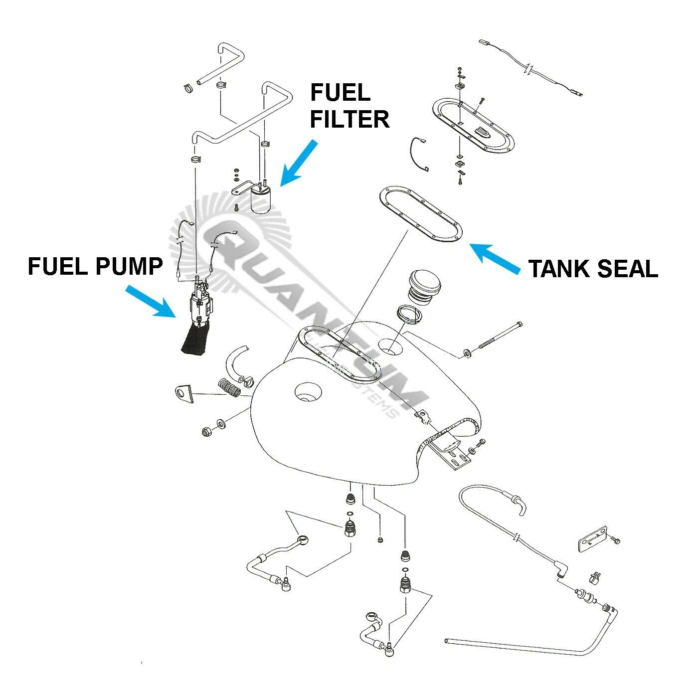 Quantum EFI Fuel Pump +Reg +Filter for Harley-Davidson Electra Glide 61342-95 - Fresh Stock Dated February 2026