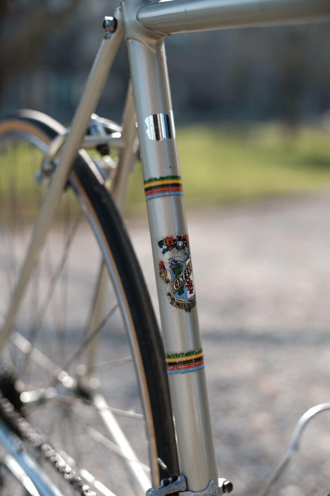 Cinelli Speciale Corsa Road Bike - Fresh Stock Dated December 2025