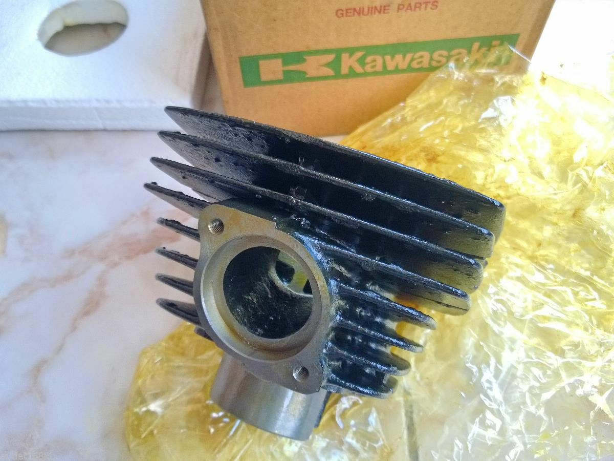 NOS Genuine OEM Kawasaki 100 G3 G3SS G3TR Bushmaster G5 KE100 G7 KH100 Cylinder - Fresh Stock Dated February 2026