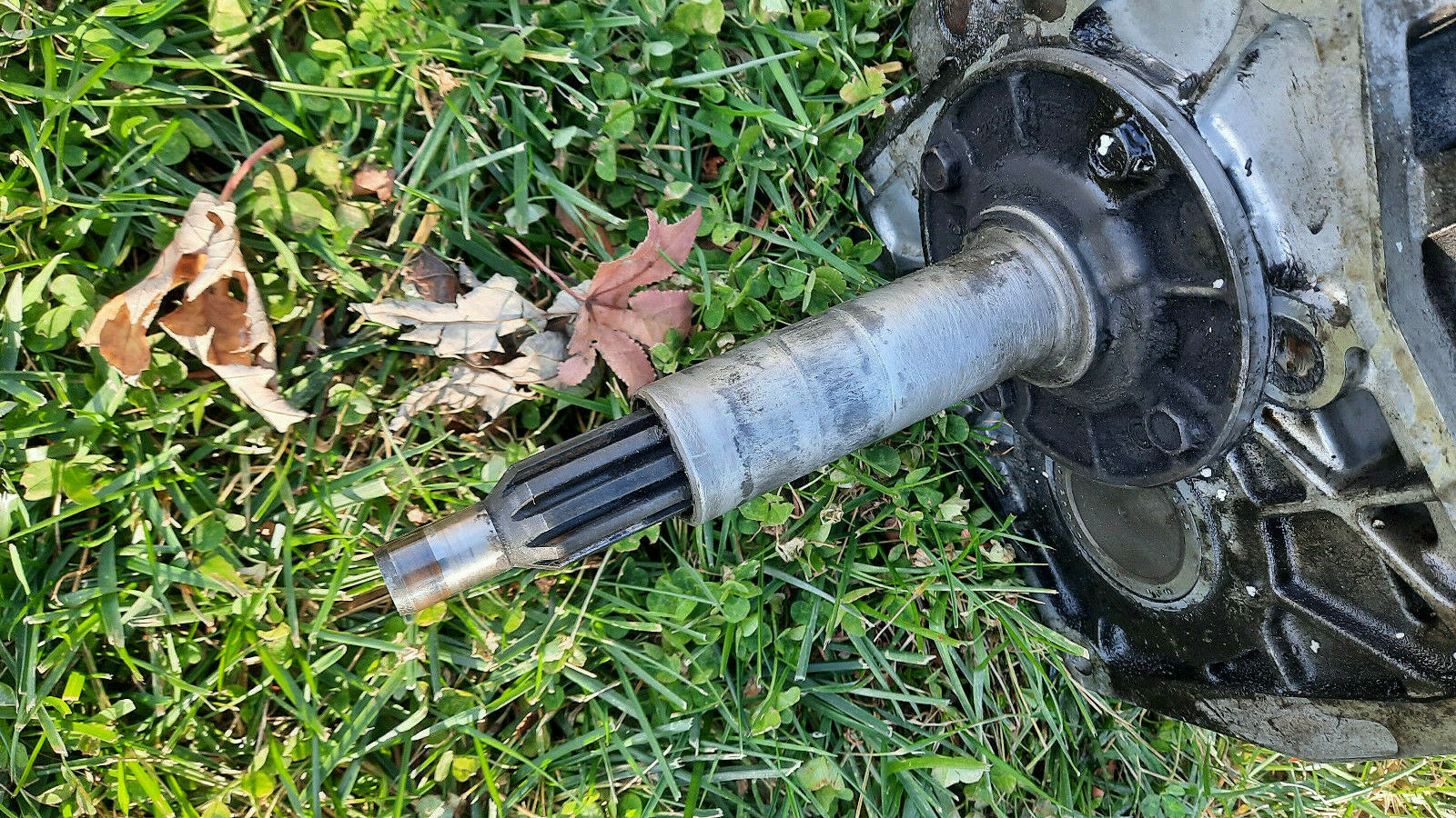 1994-1995 Ford Mustang 5.0L Tremec Transmission World Class T-5 T5Z Cobra 302 GT - Fresh Stock Dated February 2026