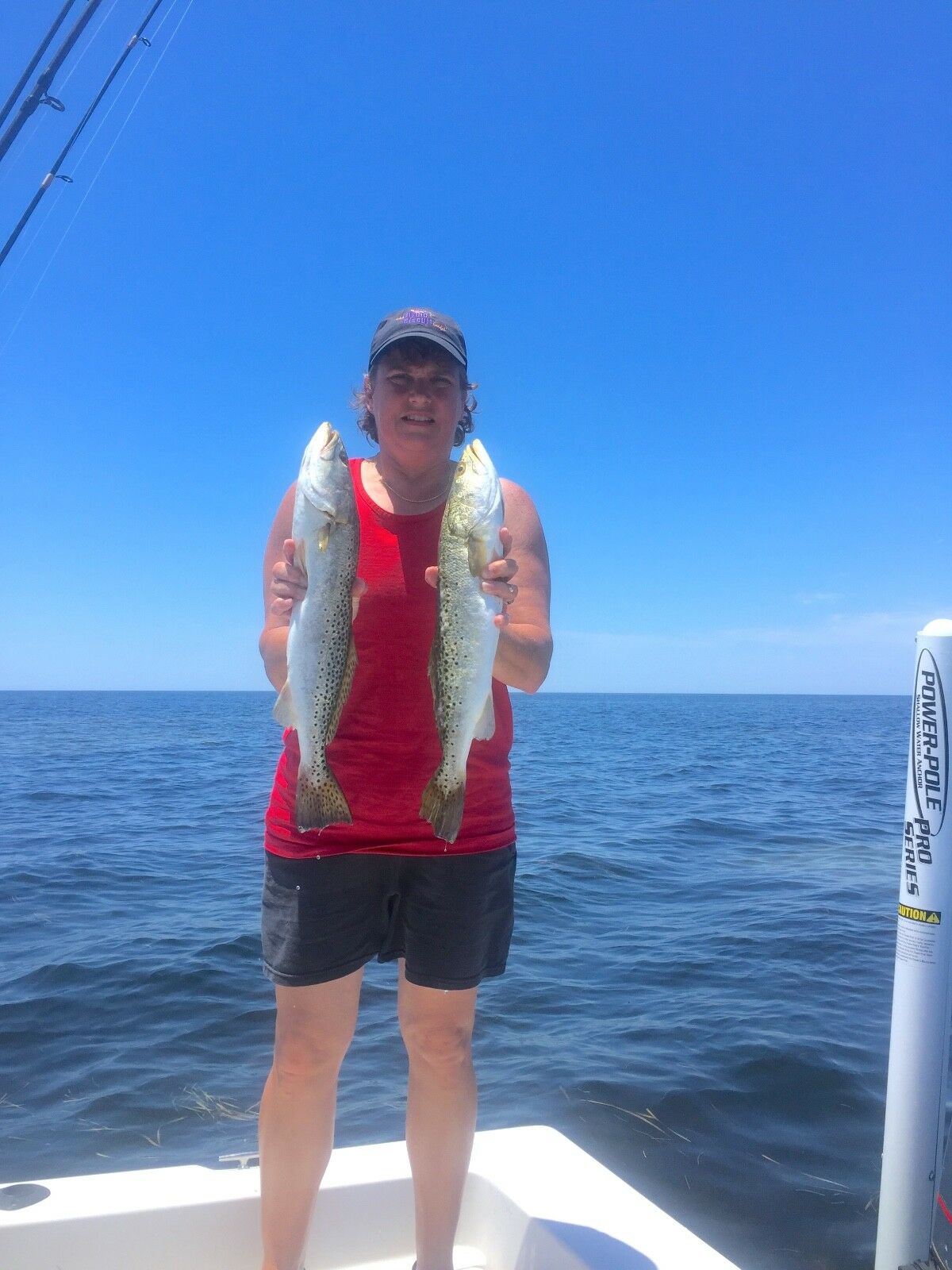 Dexter Russell Green River Works Traditional Wooden Handle Carbon Steel...Choose - Fresh Stock Dated December 2025