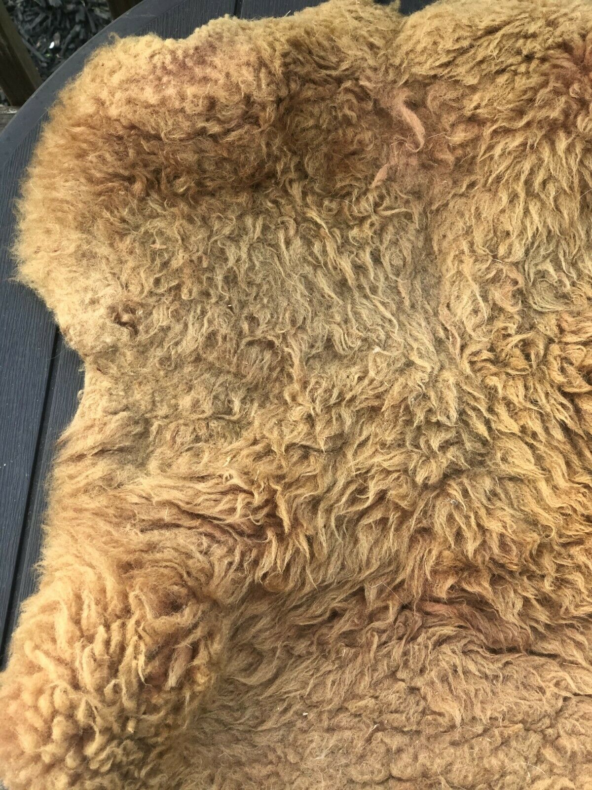 Vintage Sheepskin Saddle Cover Pad Sheep Skin Cushion Horse Tack Equestrian - Fresh Stock Dated December 2025