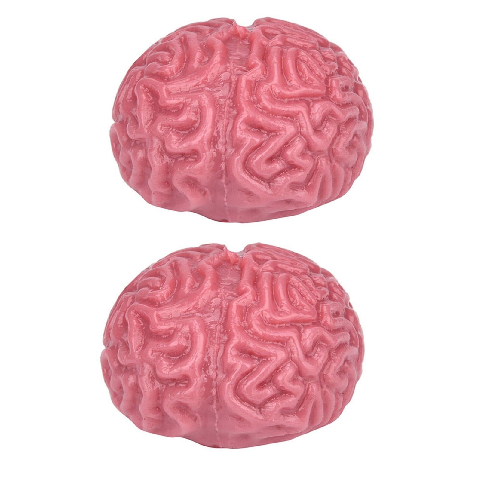 2PC Novelty Brain Toy Squeezable Fun Toys Release Stress Ball Toy Skateboard - Fresh Stock Dated December 2025