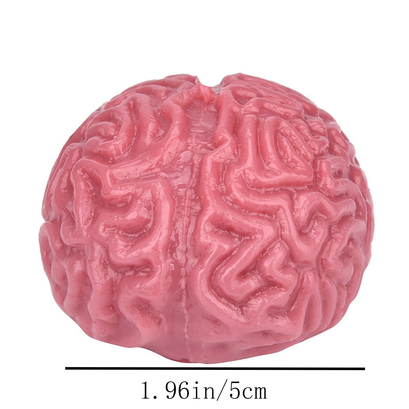 2PC Novelty Brain Toy Squeezable Fun Toys Release Stress Ball Toy Skateboard - Fresh Stock Dated December 2025
