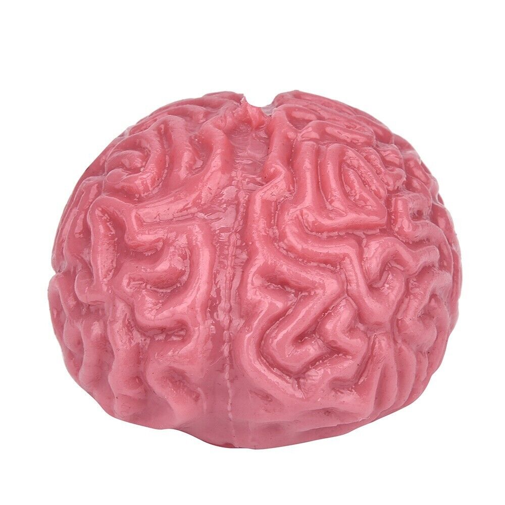 2PC Novelty Brain Toy Squeezable Fun Toys Release Stress Ball Toy Skateboard - Fresh Stock Dated December 2025