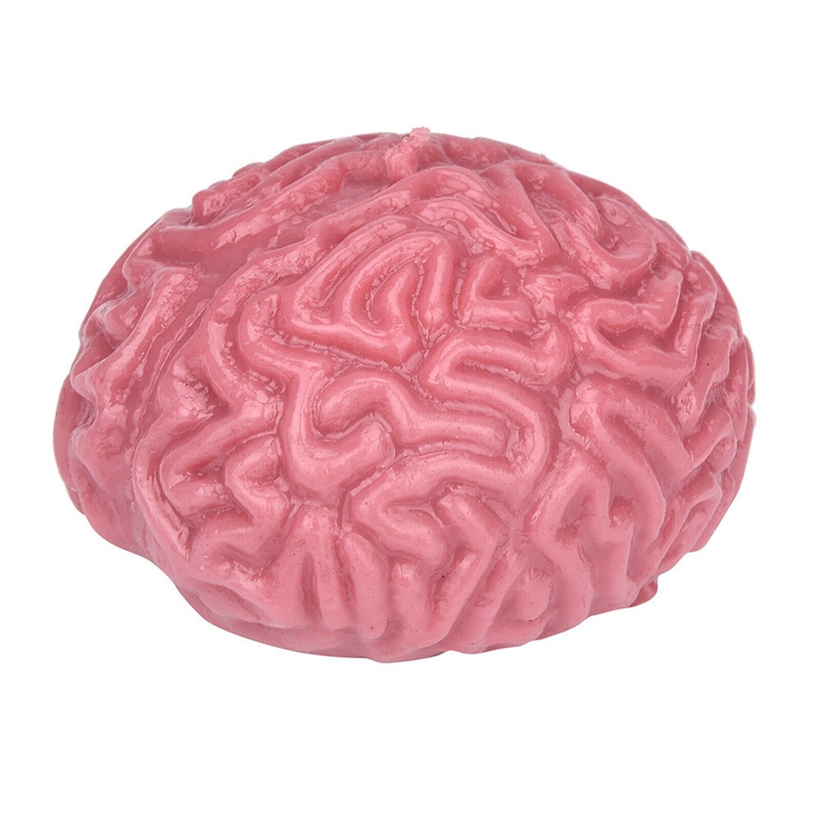 2PC Novelty Brain Toy Squeezable Fun Toys Release Stress Ball Toy Skateboard - Fresh Stock Dated December 2025