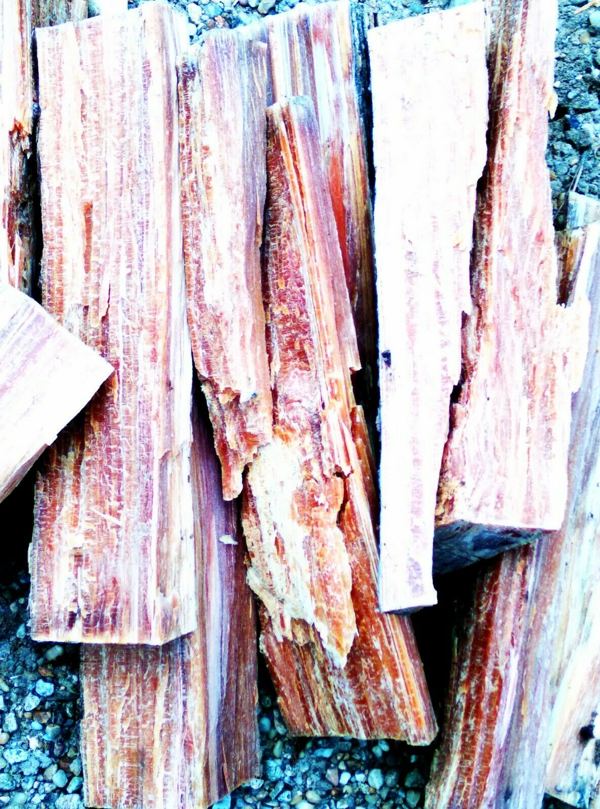 Disabled Veteran FATPINE, fatlighter, lighter wood Louisiana spice!10lbs or more - Fresh Stock Dated December 2025