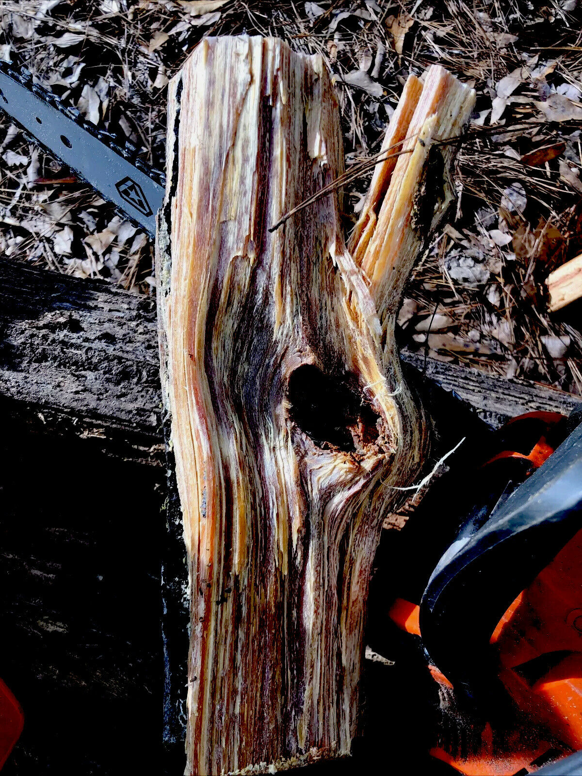 Disabled Veteran FATPINE, fatlighter, lighter wood Louisiana spice!10lbs or more - Fresh Stock Dated December 2025