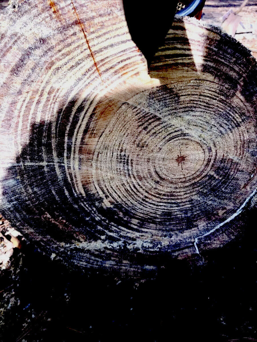 Disabled Veteran FATPINE, fatlighter, lighter wood Louisiana spice!10lbs or more - Fresh Stock Dated December 2025