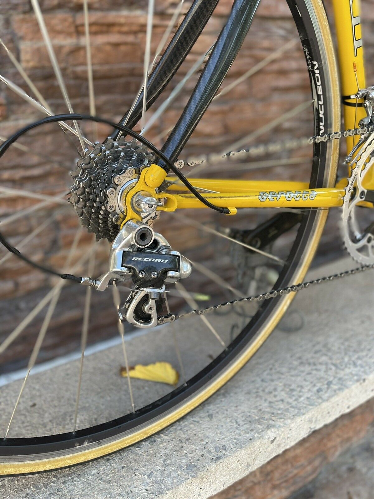 Serotta CXII cs Size 52 - Fresh Stock Dated February 2026