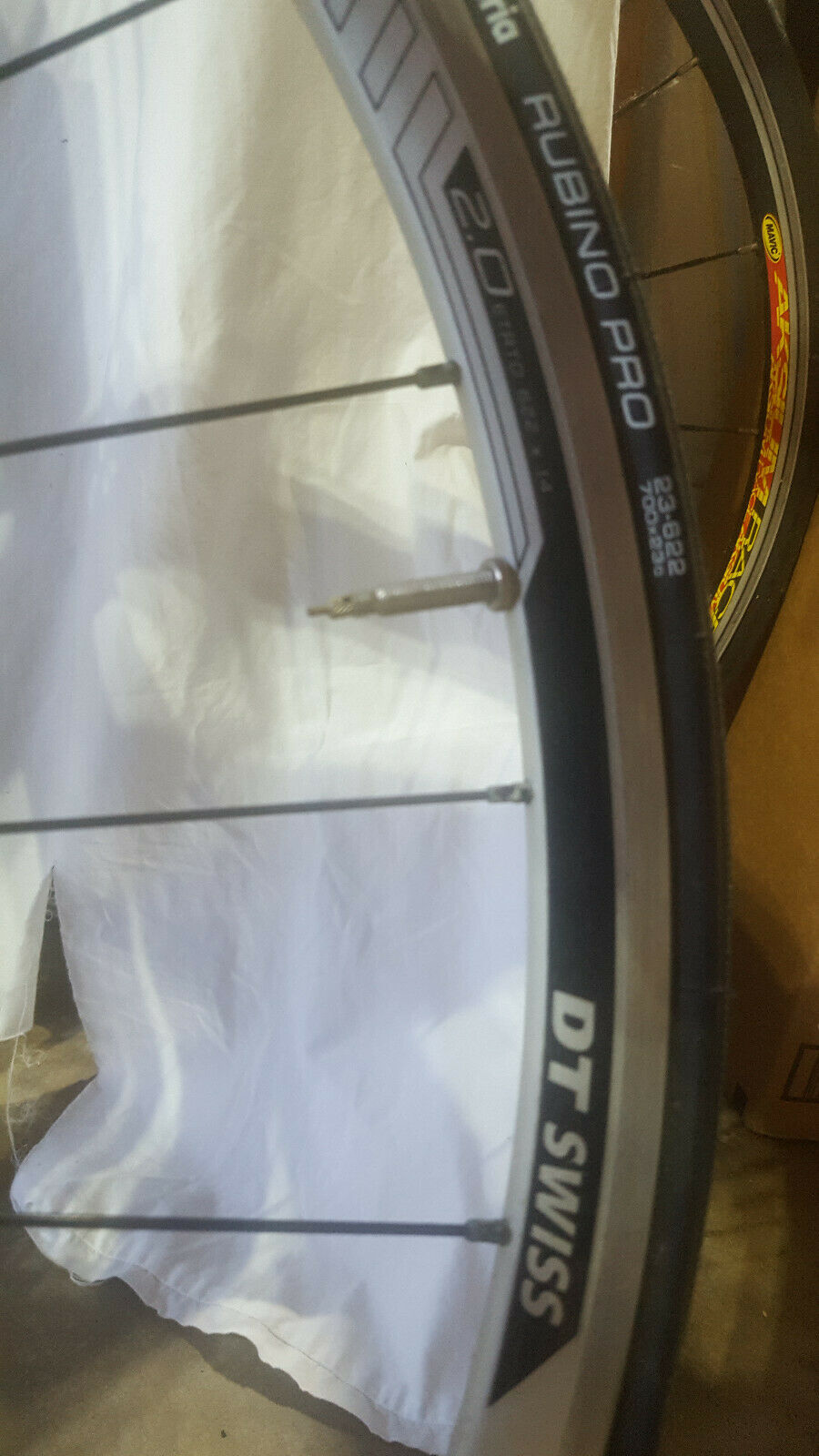 Quintana Roo Lucero triathlon bike - Fresh Stock Dated December 2025