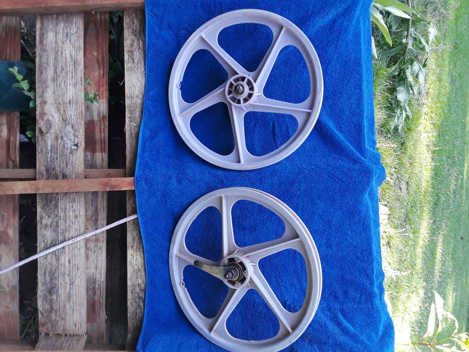 Red Line 20 inch BMX Peregrine Radberry vintage Old school mags - Fresh Stock Dated December 2025