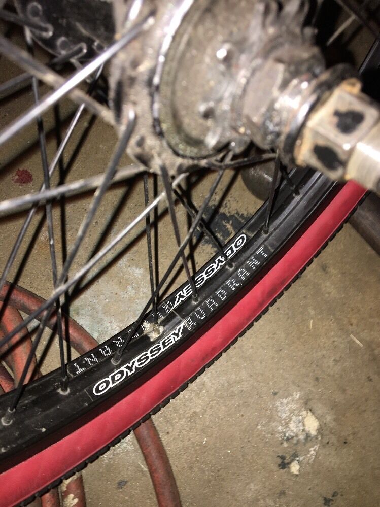 Fly Bikes Luna Custom - Fresh Stock Dated February 2026