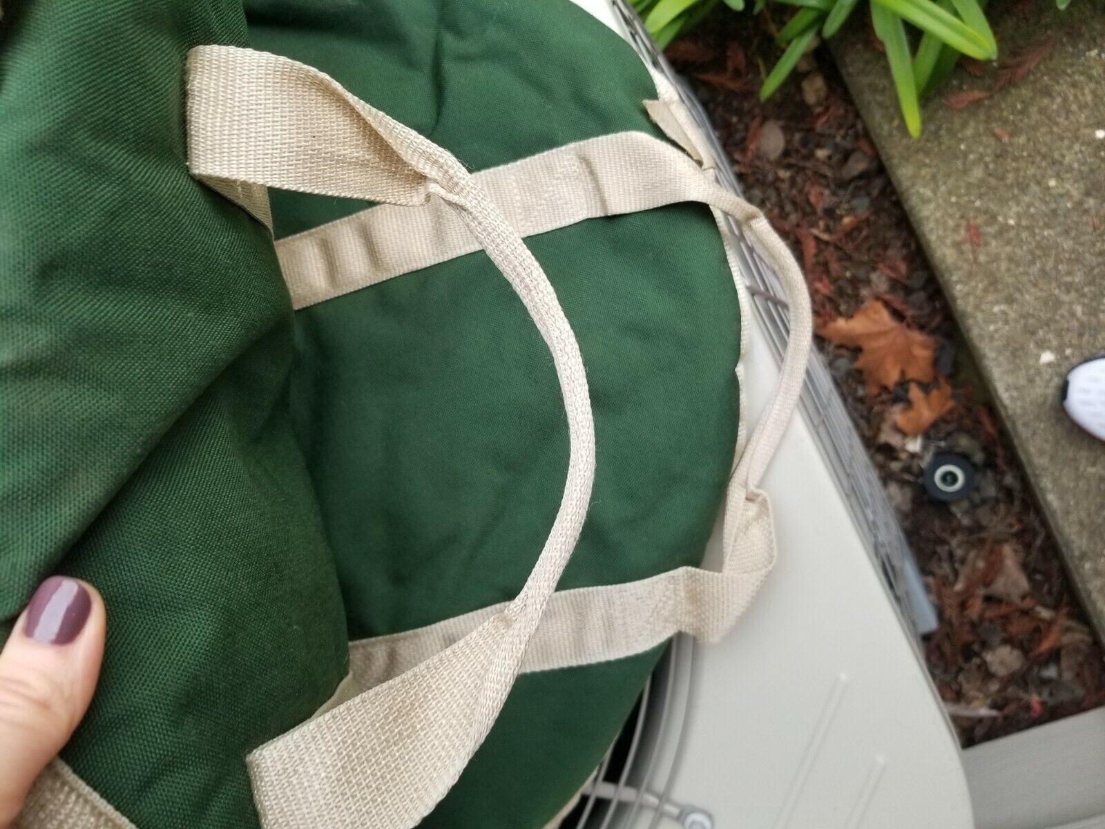 English Saddle Carrier - Fresh Stock Dated December 2025