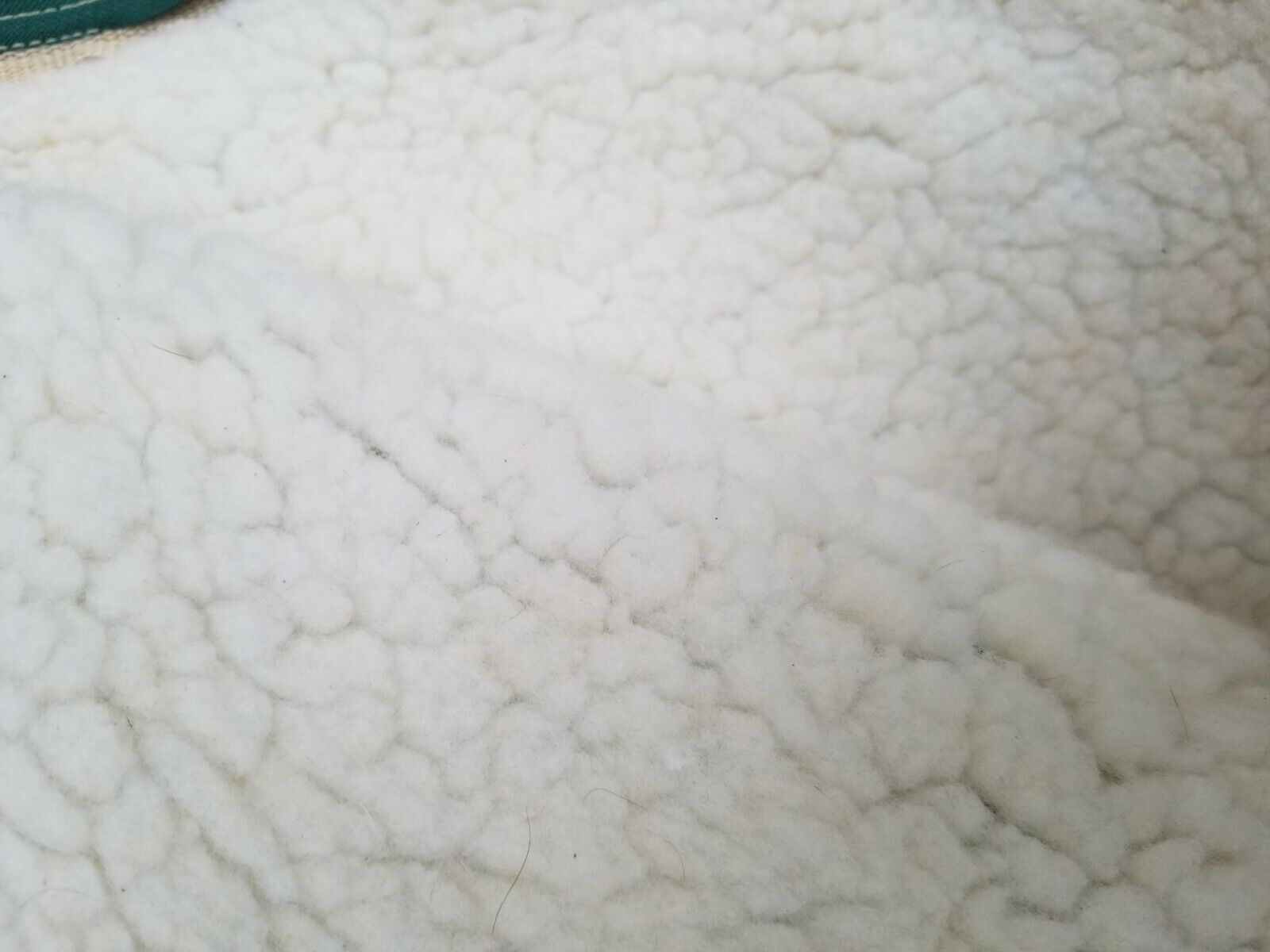 English Saddle Carrier - Fresh Stock Dated December 2025