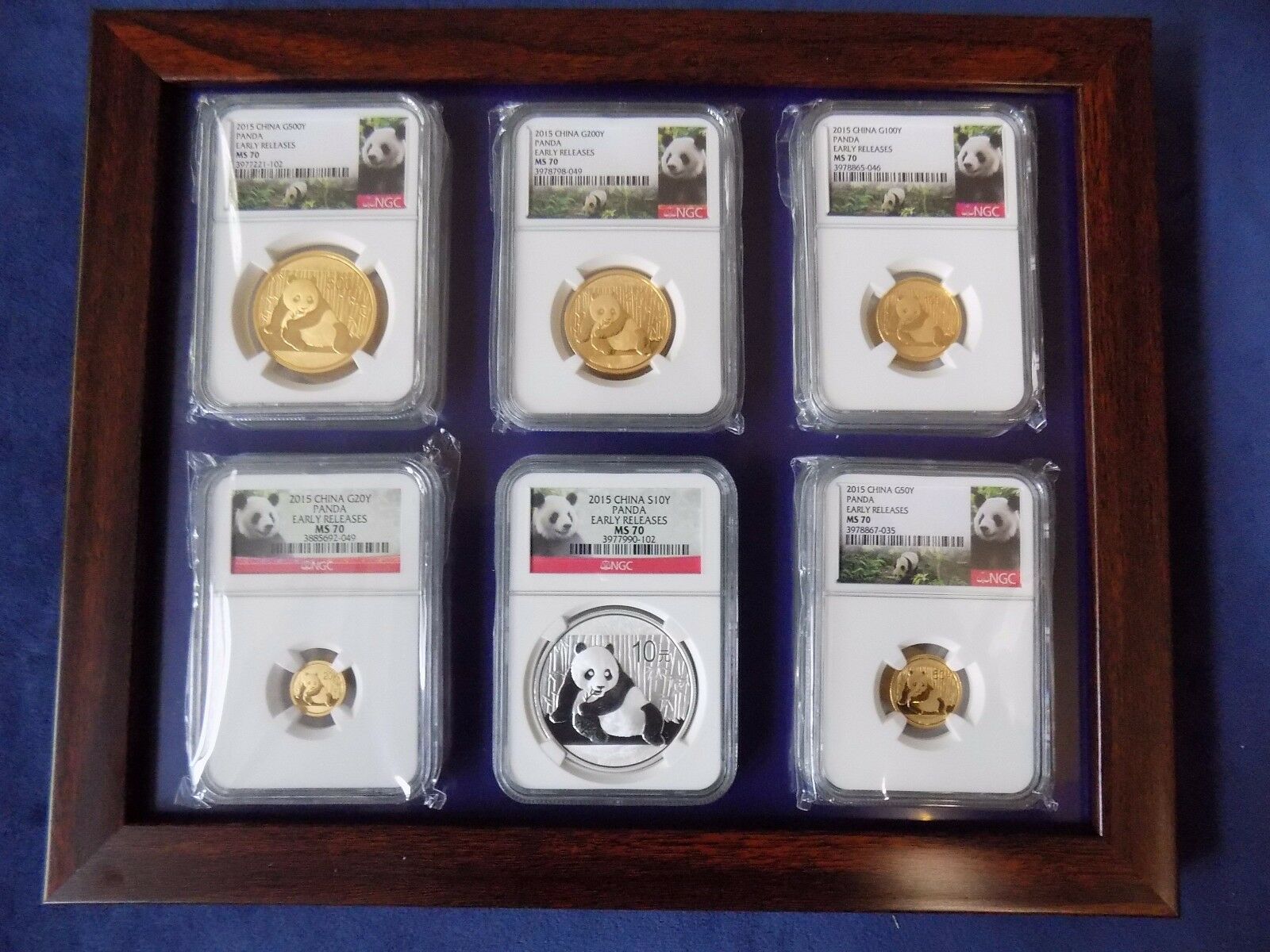2015 CHINA  5 GOLD PANDA 1 SILVER, 6 COINS SET NGC MS 70 EARLY RELEASE - Fresh Stock Dated February 2026