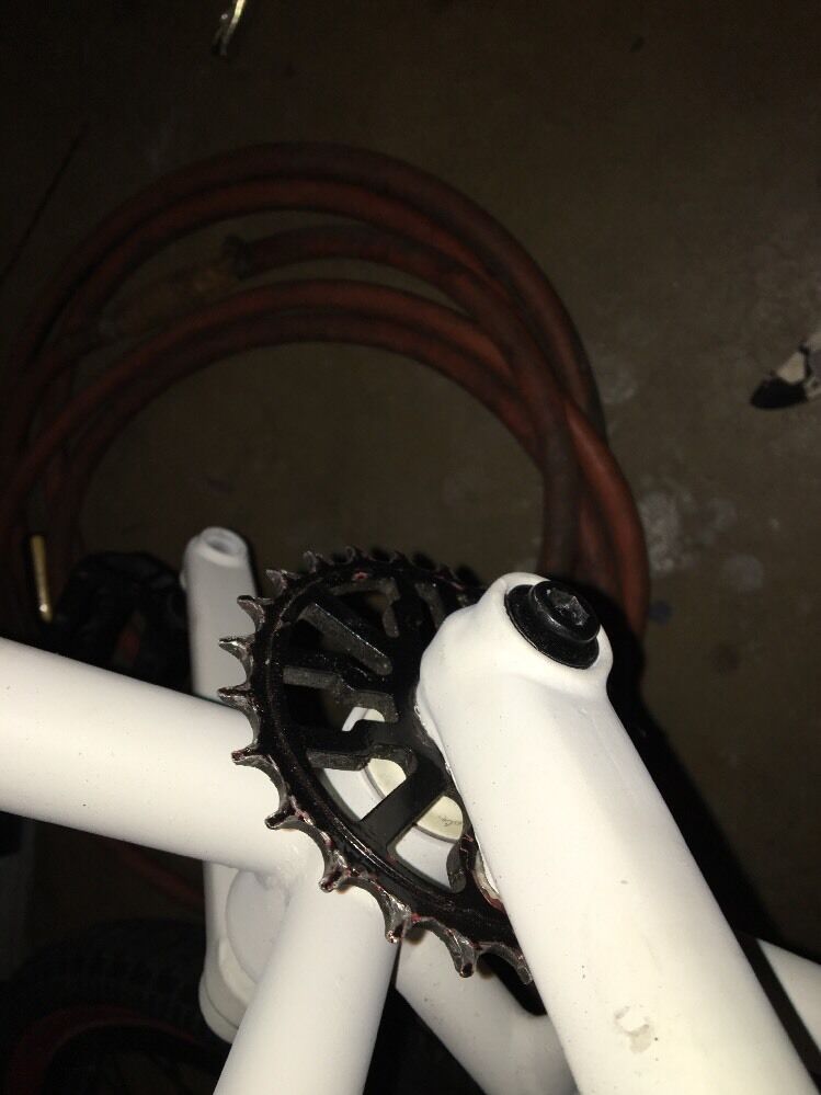 Fly Bikes Luna Custom - Fresh Stock Dated February 2026