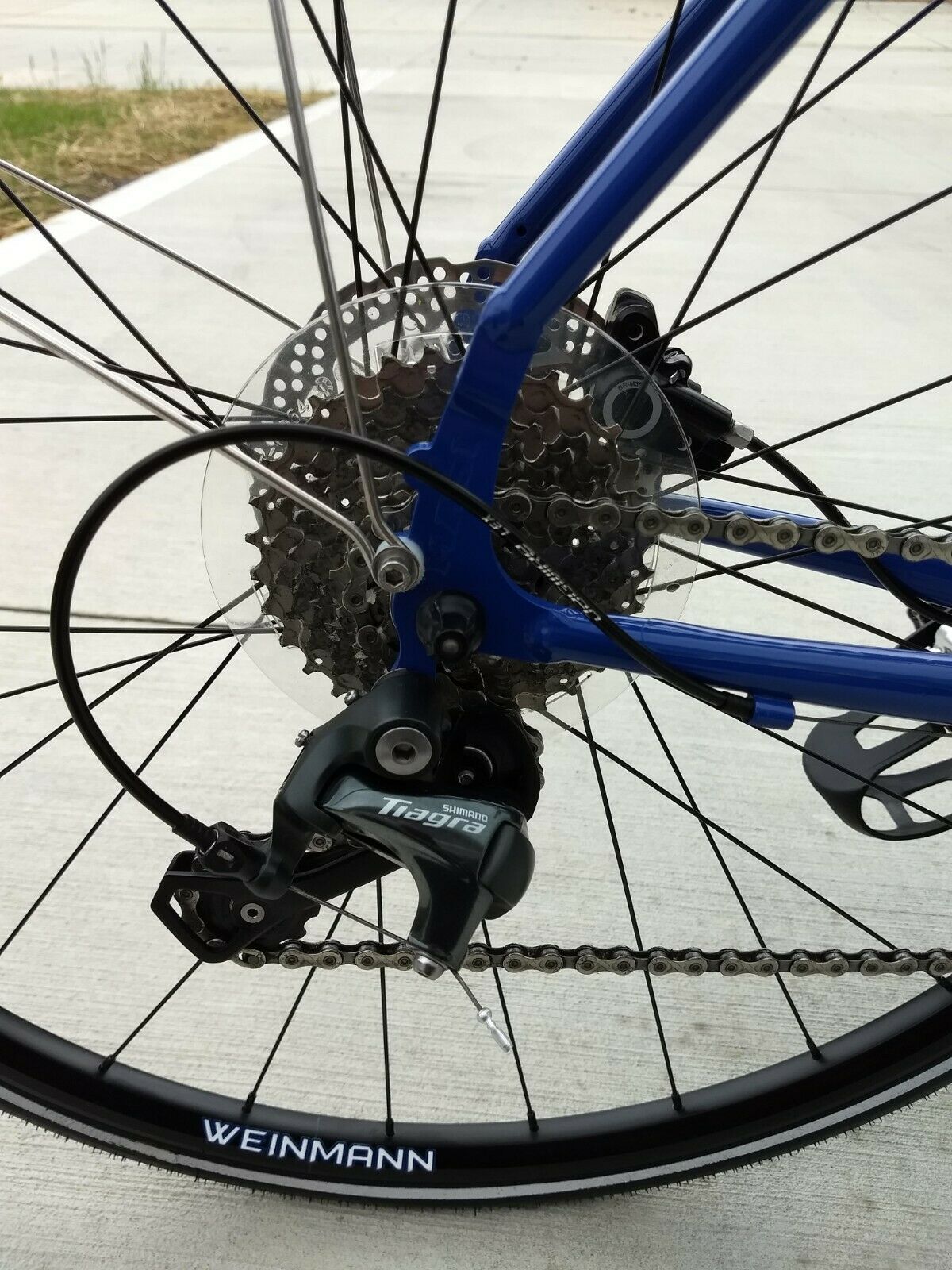 Masi Strada Vita Tre Blue Bicycle - Fresh Stock Dated February 2026