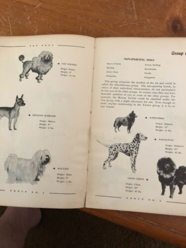 Dog Owners Guide C1950 - Fresh Stock Dated December 2025