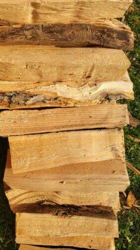 Seasoned Firewood - Fresh Stock Dated December 2025