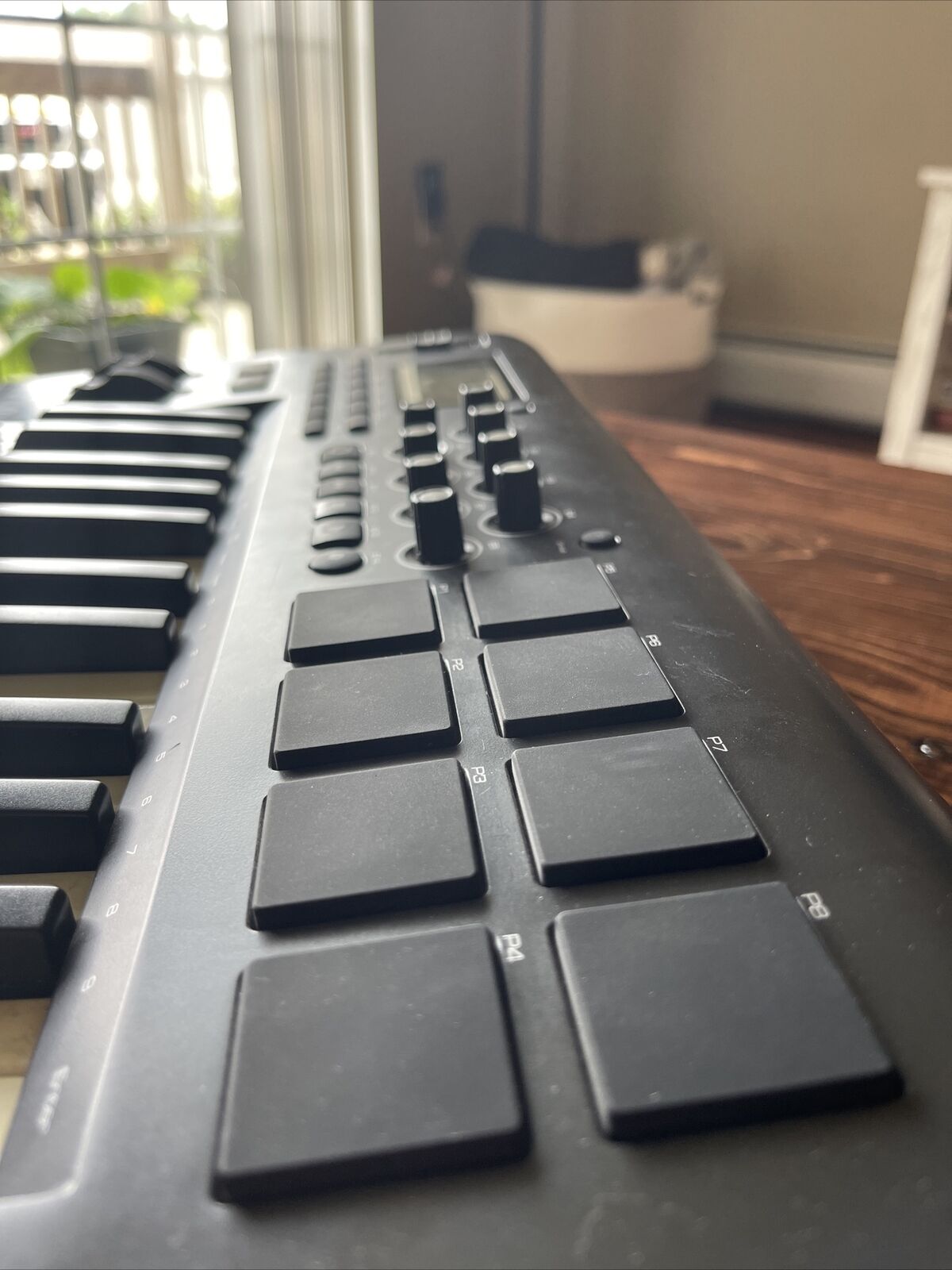 m-audio axiom 25 keyboard - Fresh Stock Dated February 2026