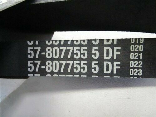 MERCURY QUICKSILVER 57-807755Q05 SERPENTINE BELT MARINE BOAT - Fresh Stock Dated February 2026