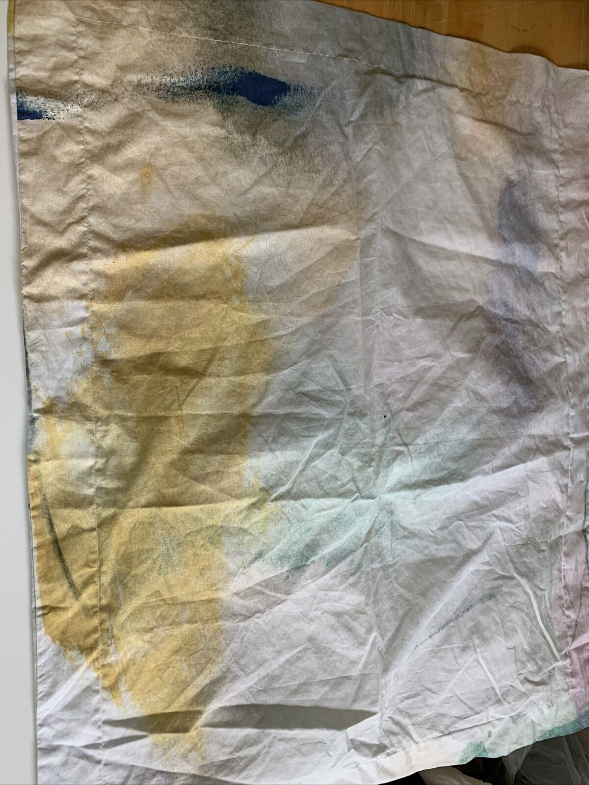 WEST ELM POTTERY BARN Kids Standard Shams MODERN LEXI Set of 2 Watercolor - Fresh Stock Dated February 2026